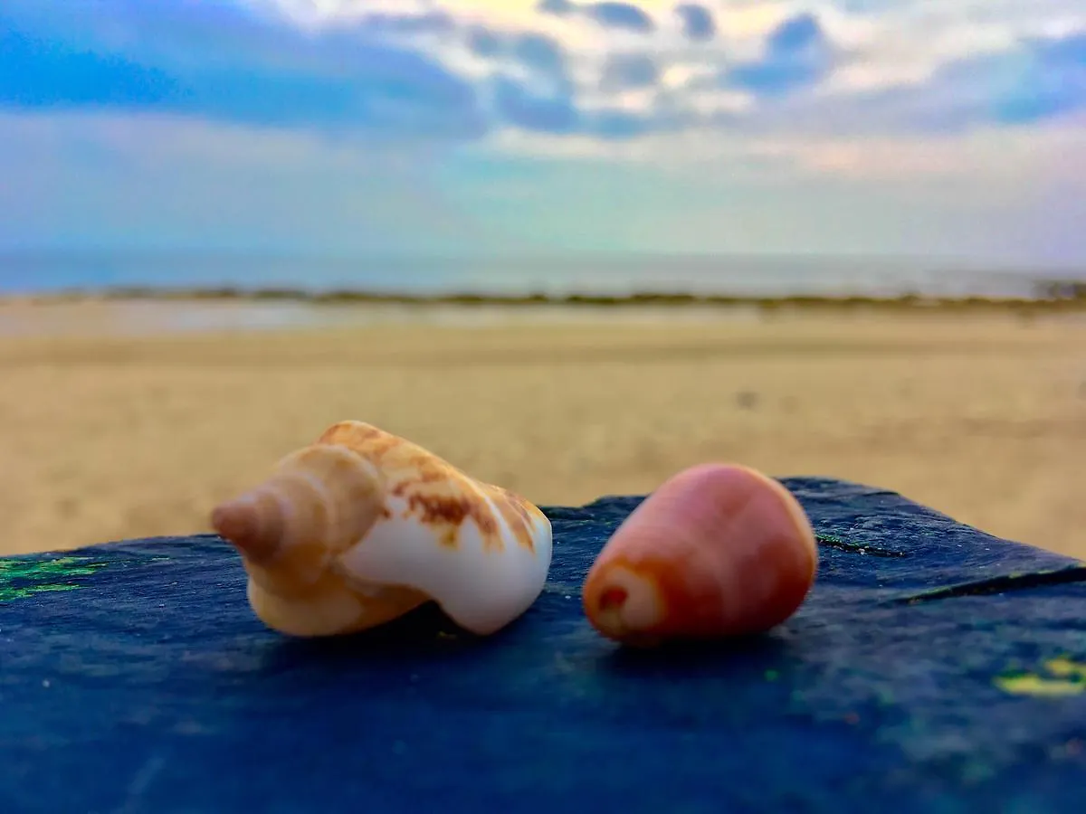 Sake Beach Hostel Ко-Ланта